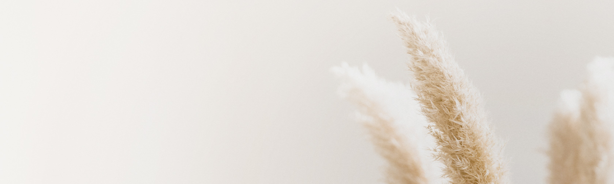 Get2 Aesthetics <small>Ihre Privatpraxis für Plastische und Ästhetische Chirurgie & Handchirurgie in Braunschweig & Hannover</small> Get2 Aesthetics Plastische & Ästhetische Chirurgie Braunschweig & Hannover Get2 Aesthetics <small>Ihre Privatpraxis für Plastische und Ästhetische Chirurgie & Handchirurgie in Braunschweig & Hannover</small> Get2 Aesthetics Plastische & Ästhetische Chirurgie Braunschweig & Hannover