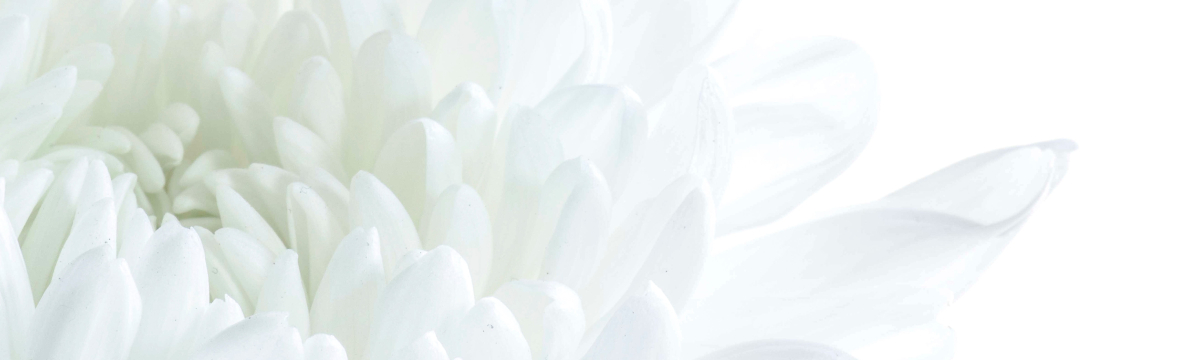 Brust&shy;straffung Get2 Aesthetics Plastische & Ästhetische Chirurgie Braunschweig & Hannover