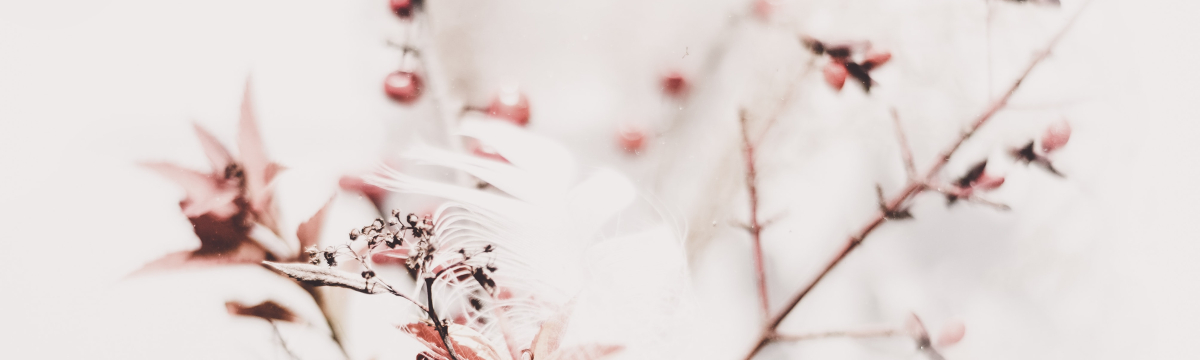 Georgios Tamouridis Get2 Aesthetics Plastische & Ästhetische Chirurgie Braunschweig & Hannover