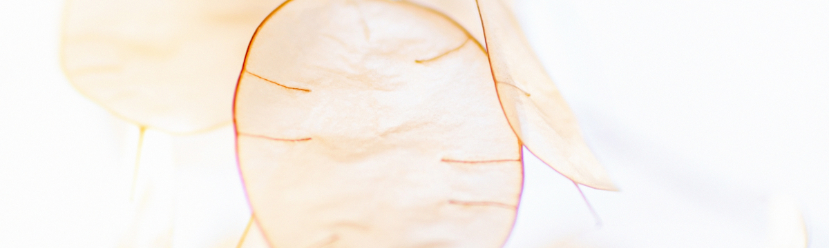 Kontakt Get2 Aesthetics Plastische & Ästhetische Chirurgie Braunschweig & Hannover