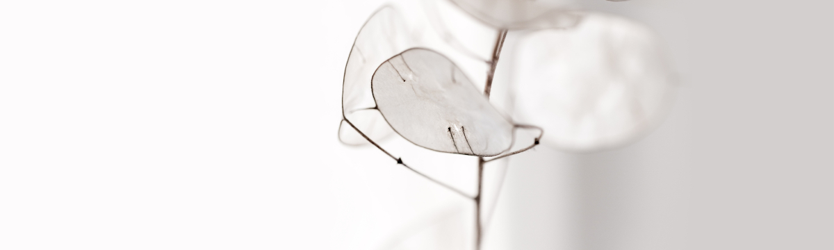 Aktuelles Get2 Aesthetics Plastische & Ästhetische Chirurgie Braunschweig & Hannover